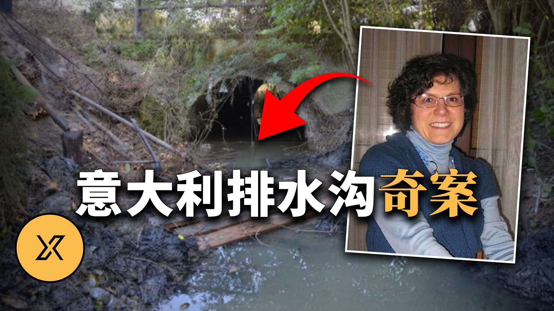 妻子在花园凭空消失，留下一地衣物，深情丈夫电视寻妻9个月 | 意大利排水沟奇案