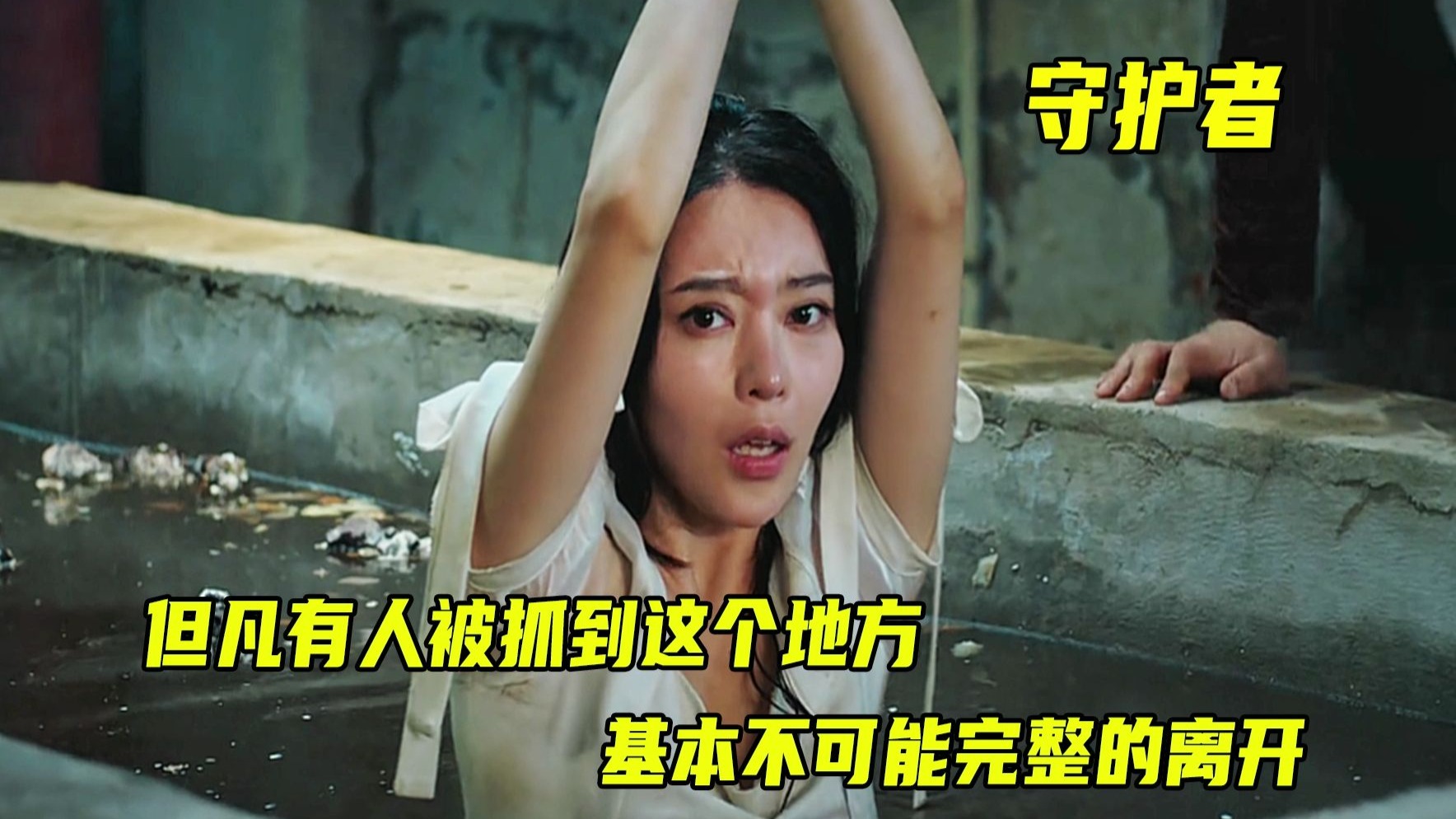守护者横板