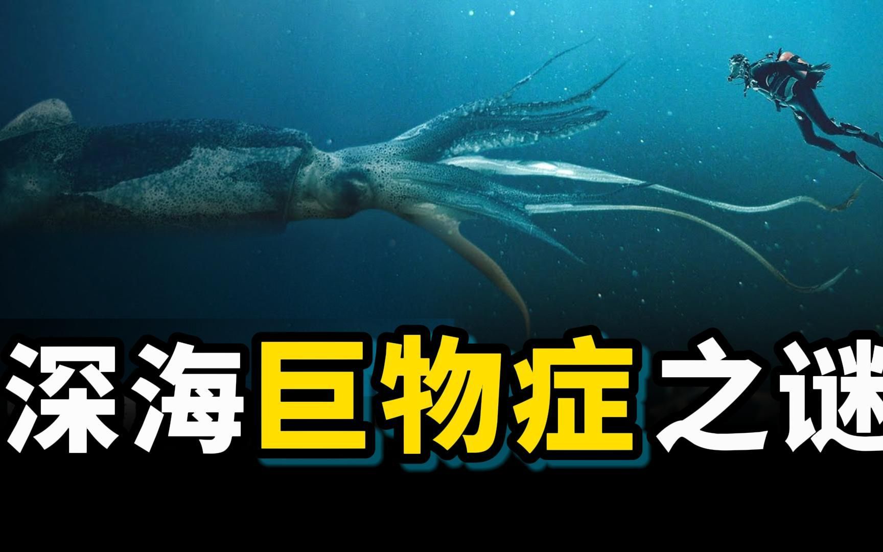深海巨物症：为什么深海中会出现巨型生物？