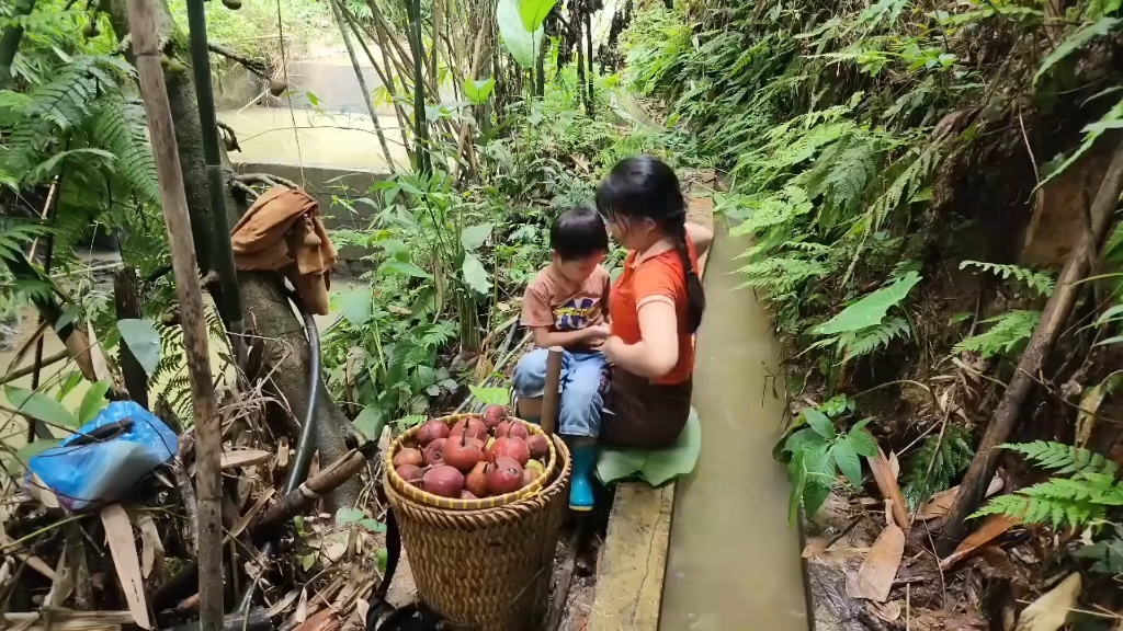 一天三奶，顿顿不缺席！妈妈这产量快赶不上需求了