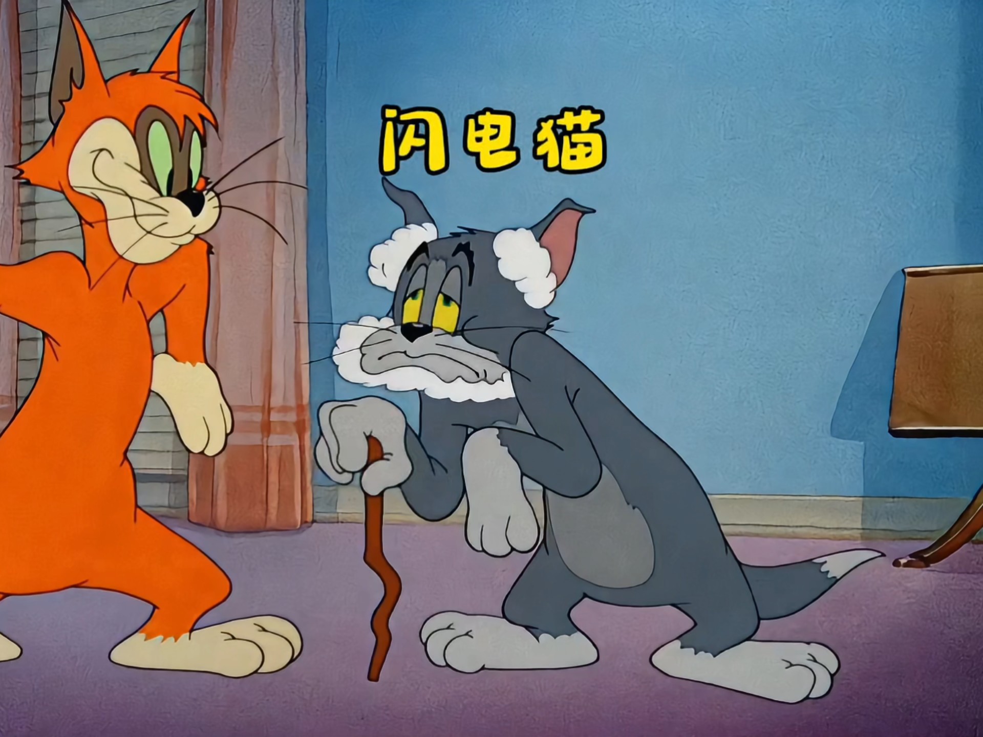 汤姆杰瑞联手，赶走闪电猫