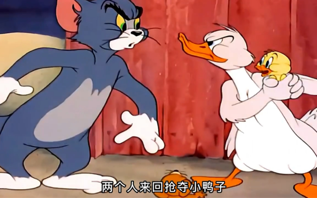 汤姆为了一时贪嘴，竟要把小鸭烤了吃 #动漫解说  #二次元  #猫和老鼠