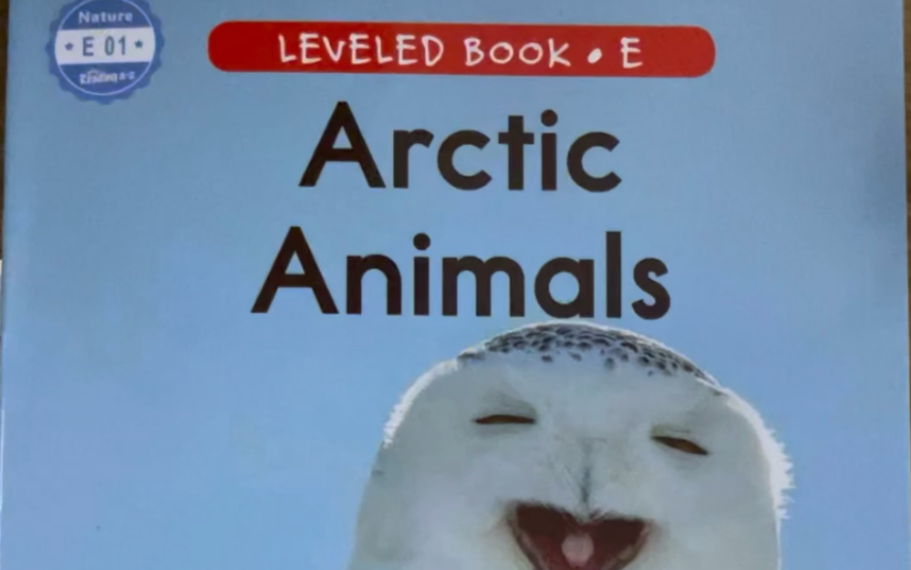 少儿英语RAZ分级阅读E01 Arctic Animals 北极的动物 【开始E，新的篇章】