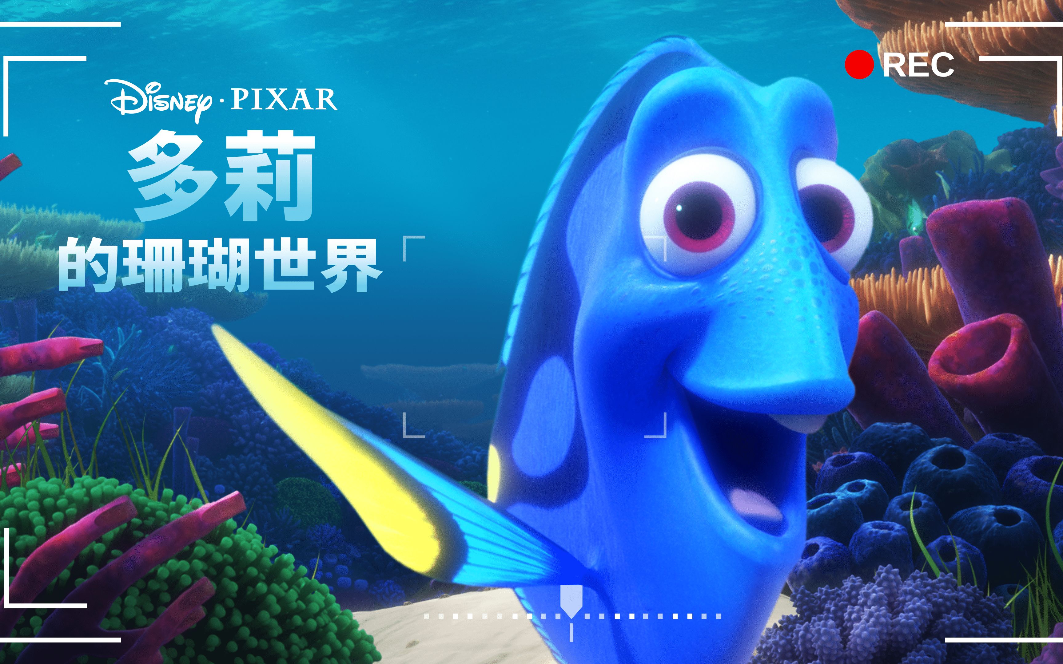【海底总动员】多莉的珊瑚世界