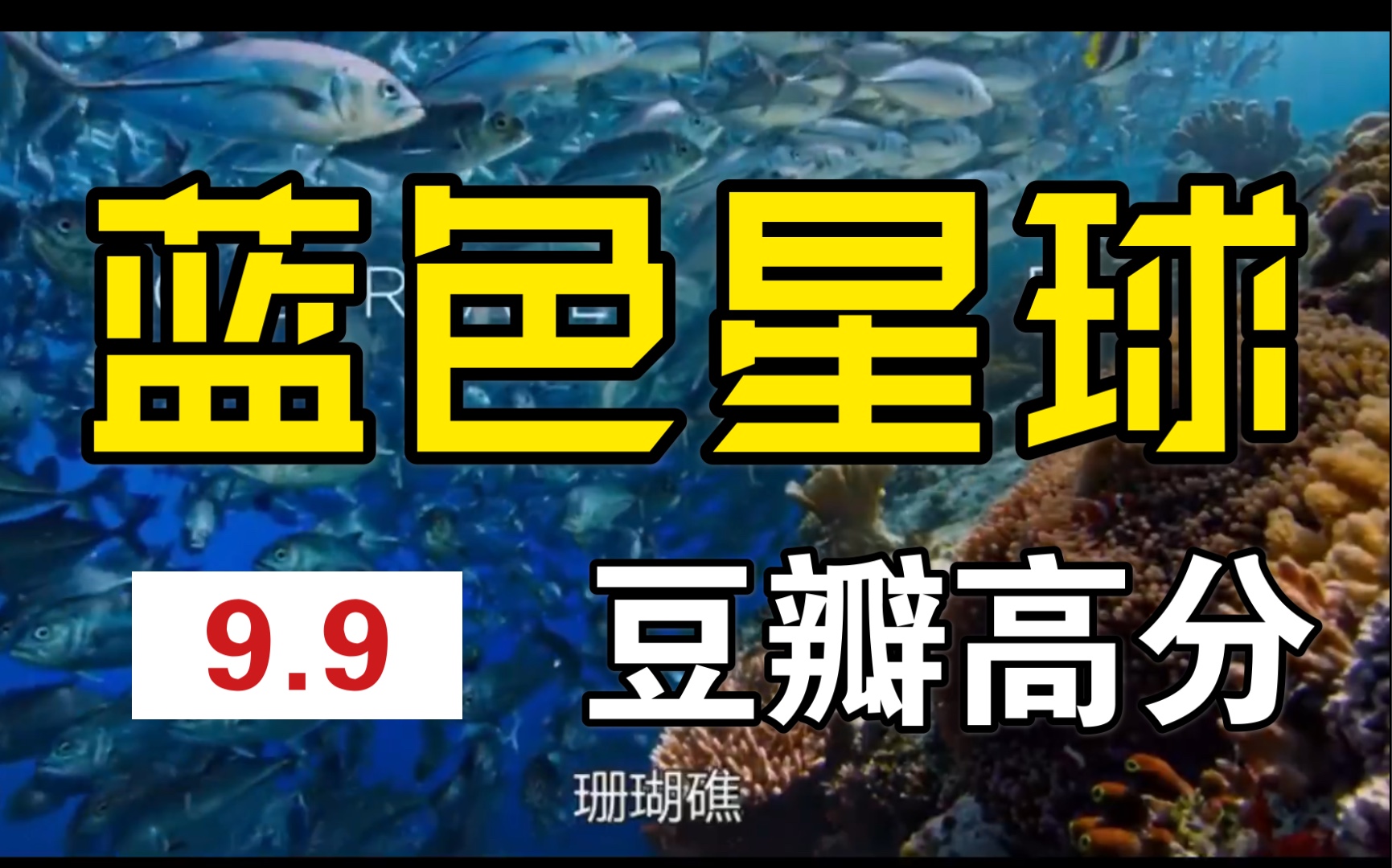 【蓝色星球2】BBC纪录片 太值得看了！！