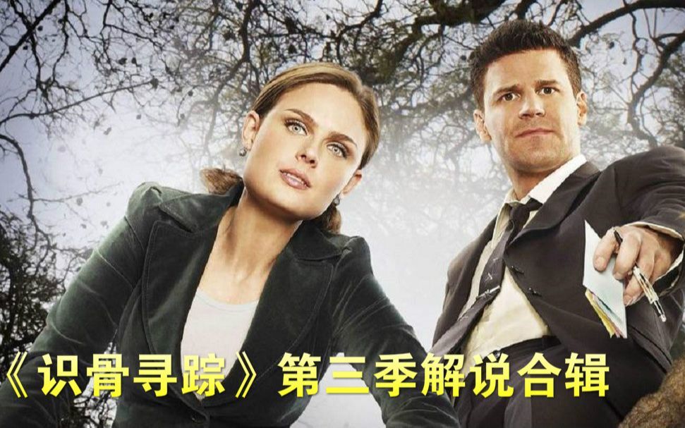 豆瓣9.0分悬疑美剧，《识骨寻踪》第三季合辑《哈士奇解说版》