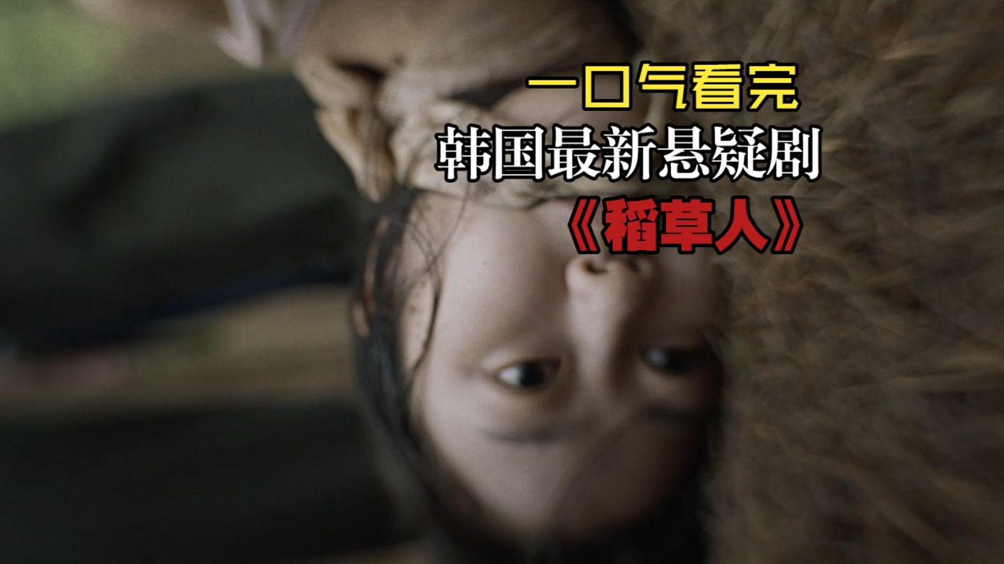一口气一小时三十分钟看完2026年韩国最新惊悚悬疑剧《稻草人》