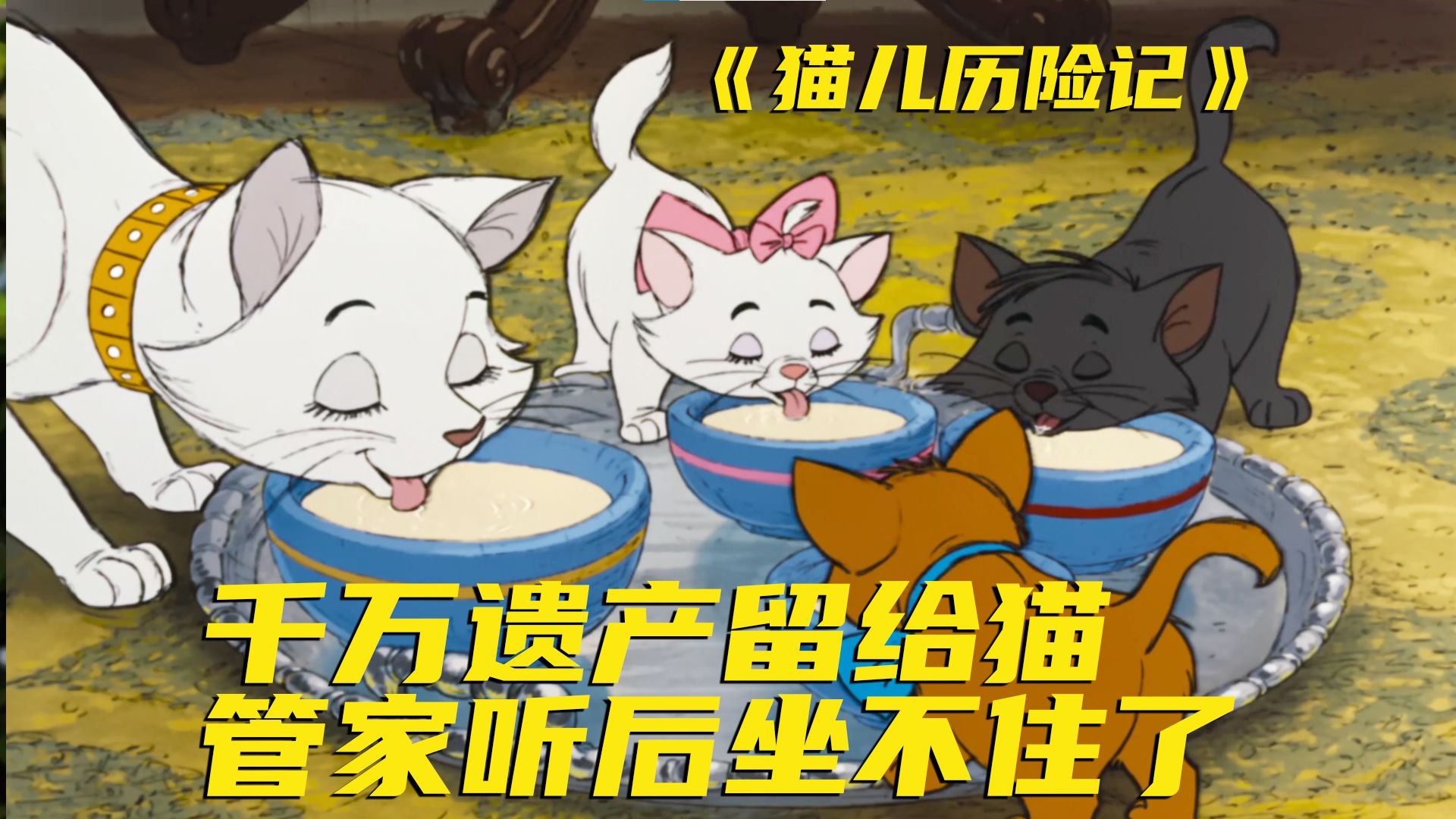 远古猫片！睡前必看！坐拥千万资产的小母猫爱上大橘，汤姆看到心都碎了