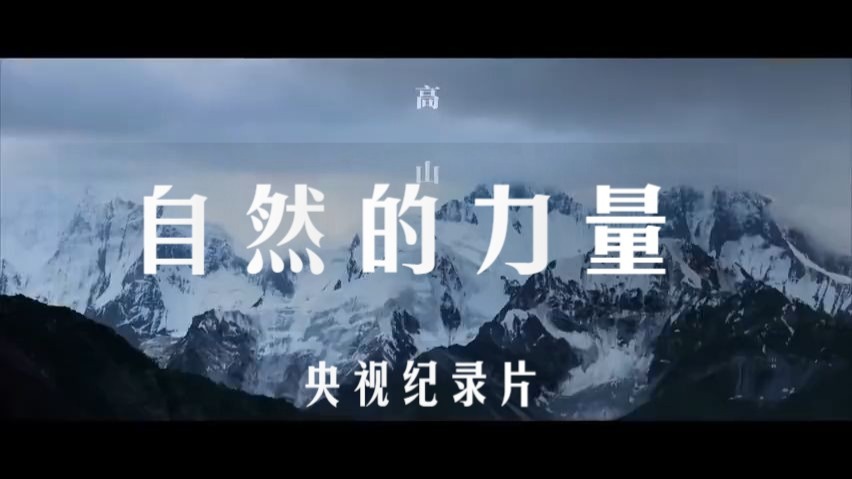 央视纪录片《自然的力量》 全集