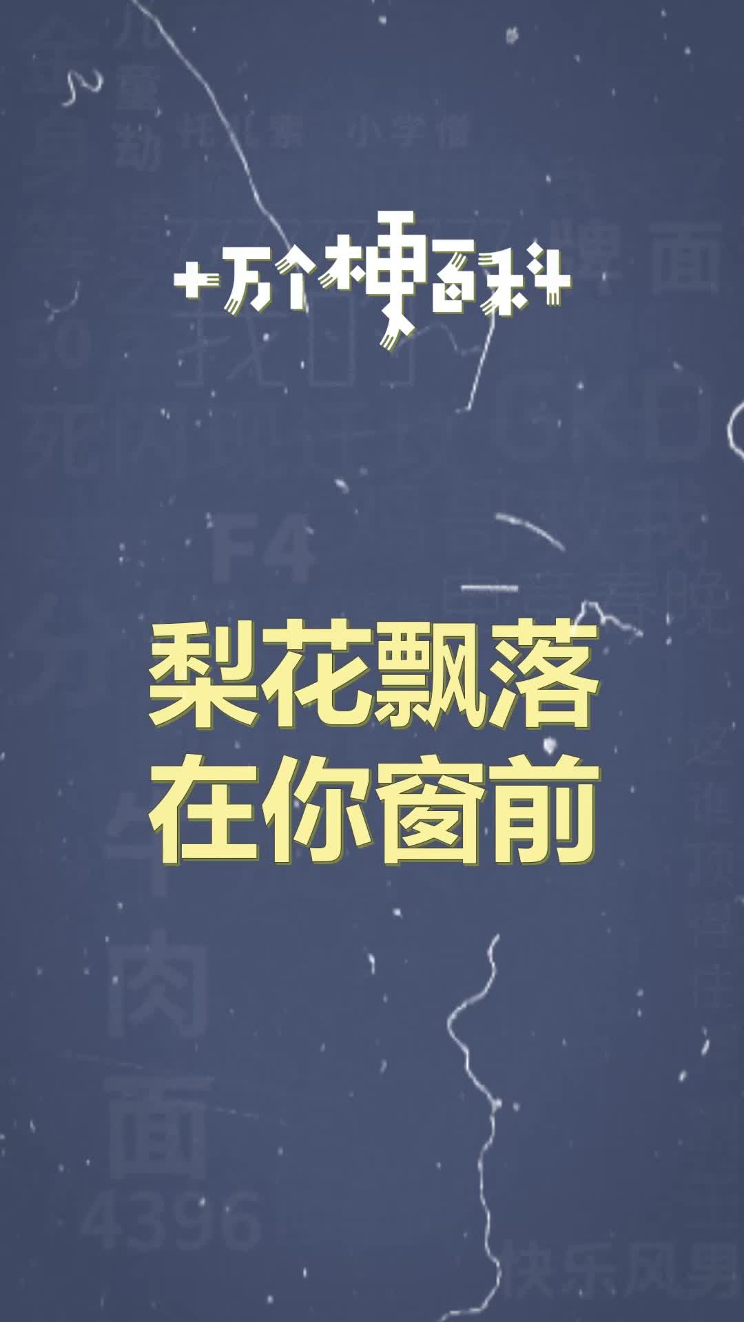 十万个梗百科：梨花飘落在你窗前 #古风 #小曲 #弱水三千 #梗百科
