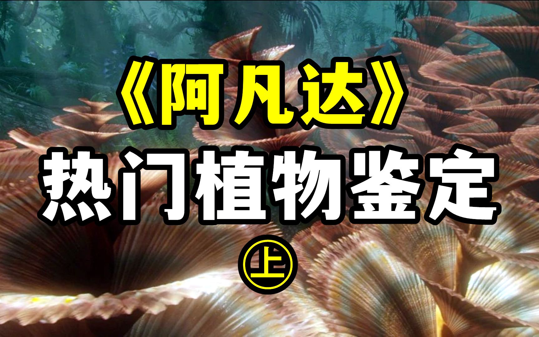 盘点电影《阿凡达》中的11种“奇葩”植物！ |【潘多拉星球02】