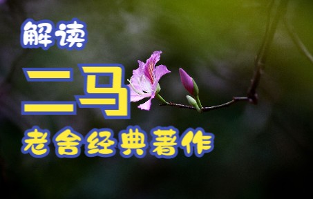 《老舍作品集二马》是老舍客居英国时写作的最后一部长篇小说