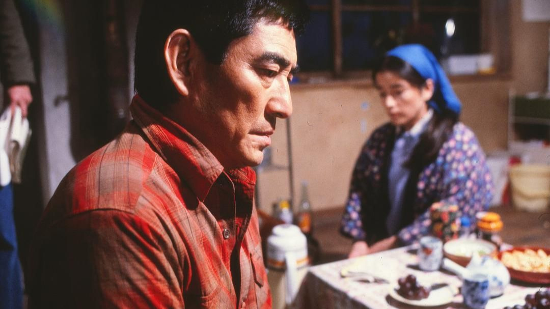 《远山的呼唤》1980年 - 高清日语中字完整版 - 豆瓣8.8分经典“恋恋情深，永不凋零”