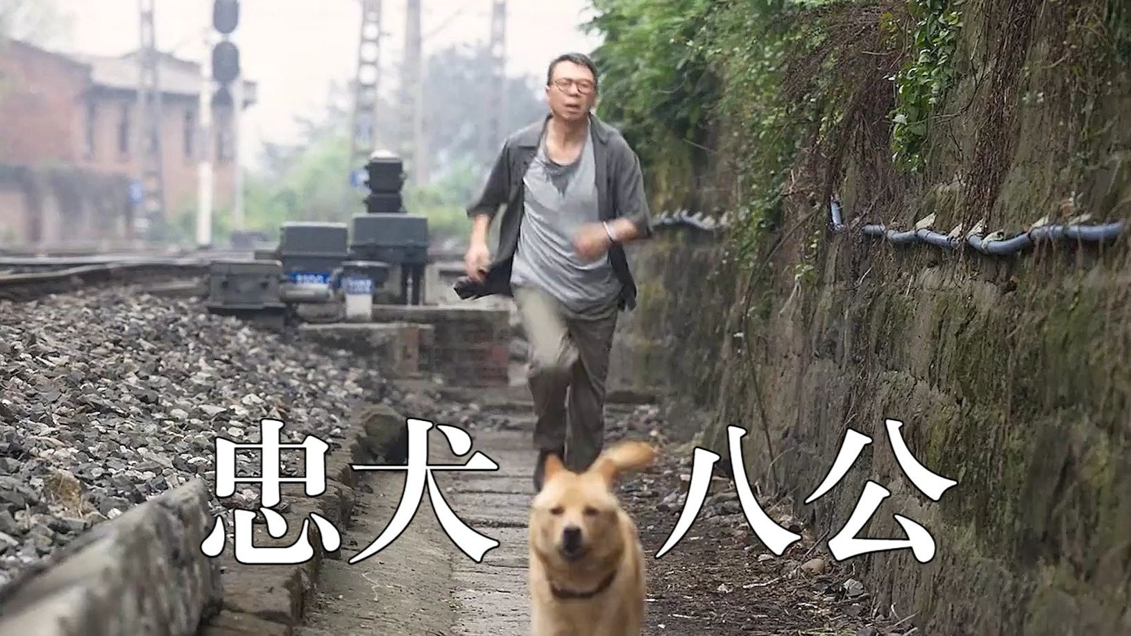 中国版《忠犬八公》这只小土狗，竟然让30万人同时落泪！