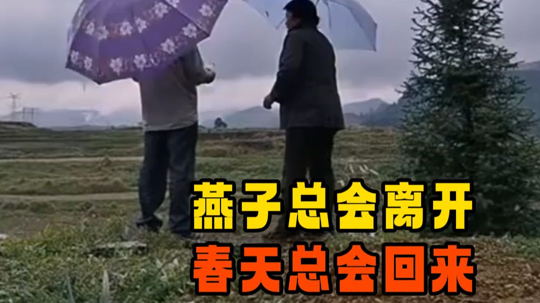 燕子总会离开，春天总会回来