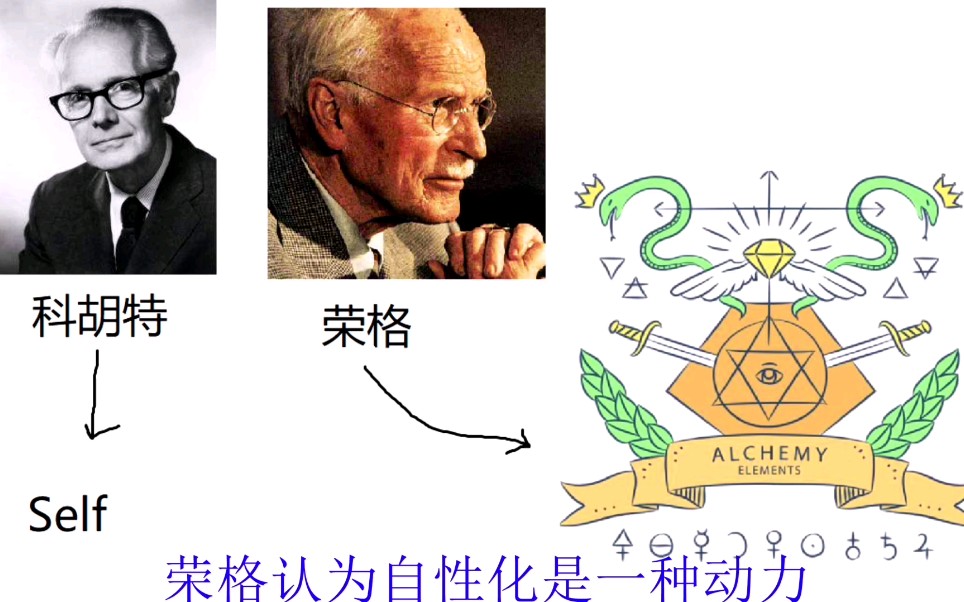 【心理学】心理动力学，性驱力，攻击驱力。