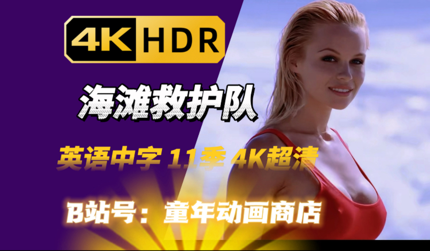 【全网4K第一】海滩救护队 1-11季 英语中字4K超清完整版 海魂 生死海岸 Baywatch 海岸救生队 经典美剧