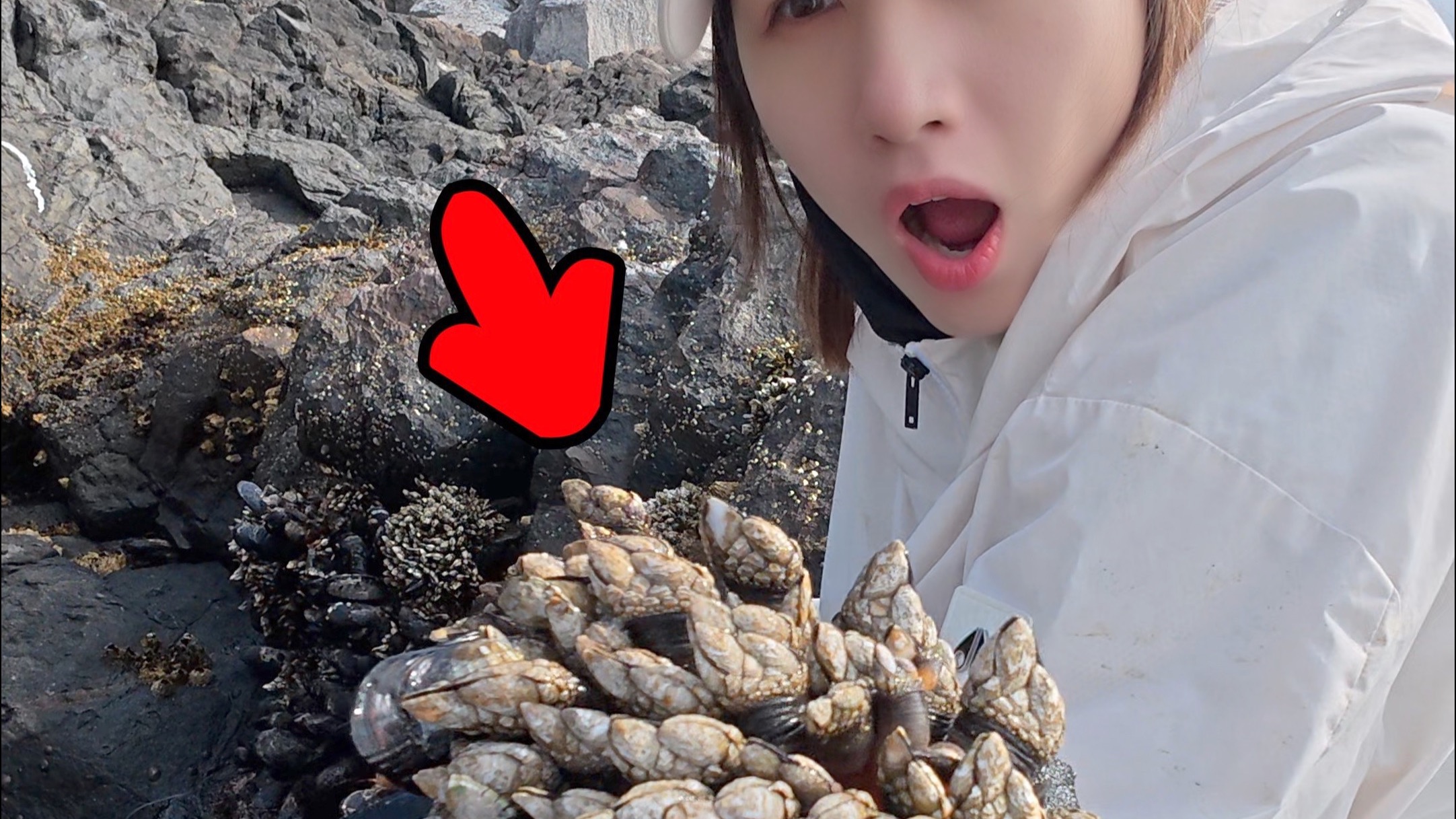 （密集恐惧症慎入）据说，这是世界上最鲜的海鲜。。