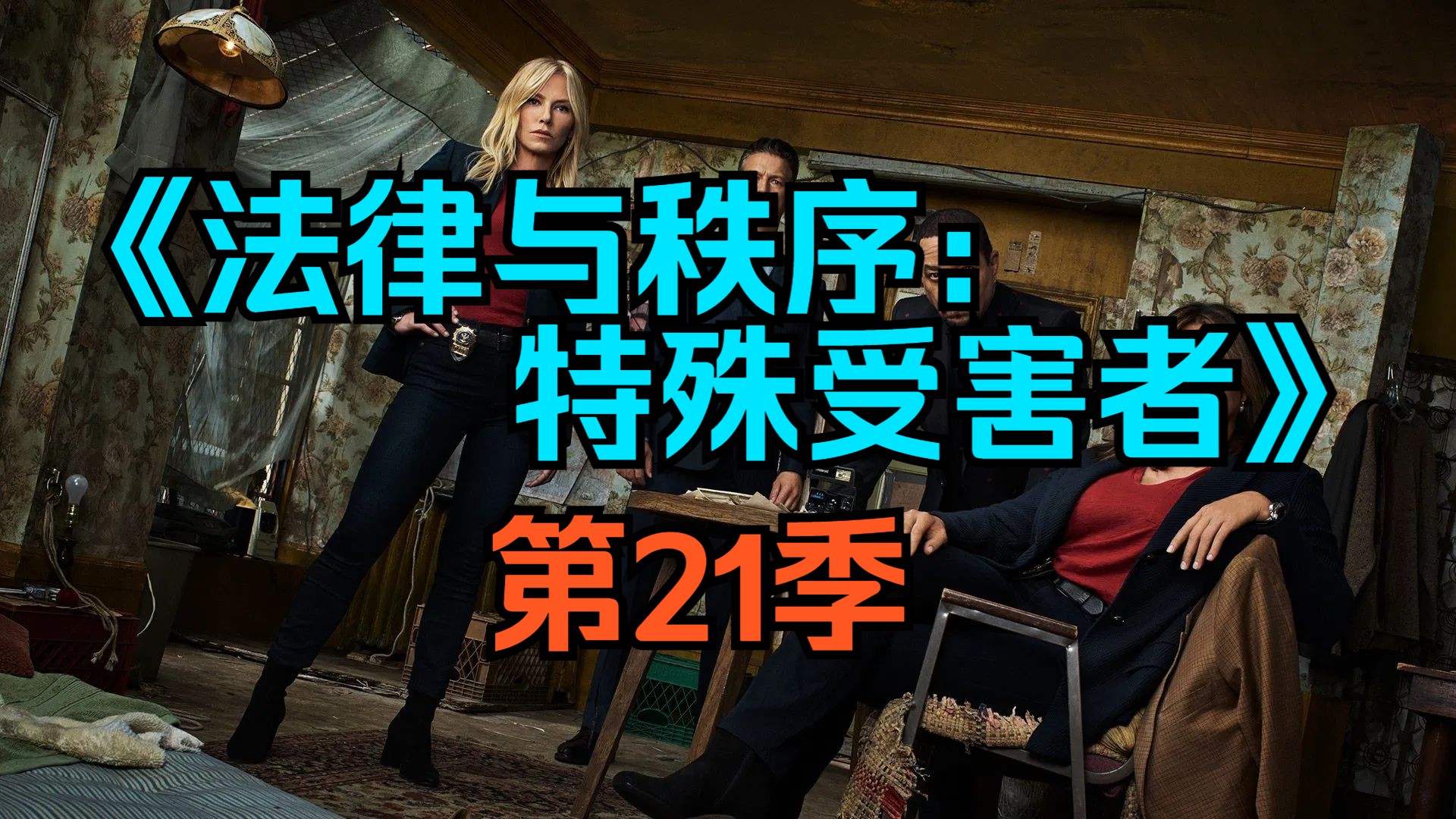 [电视剧] 美剧《法律与秩序：特殊受害者》第21季「共20集」