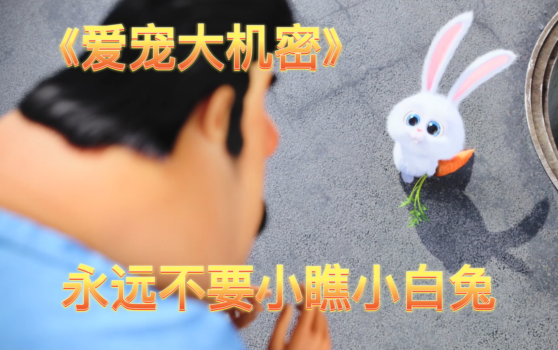 【爱宠大机密】永远不要小瞧小白兔
