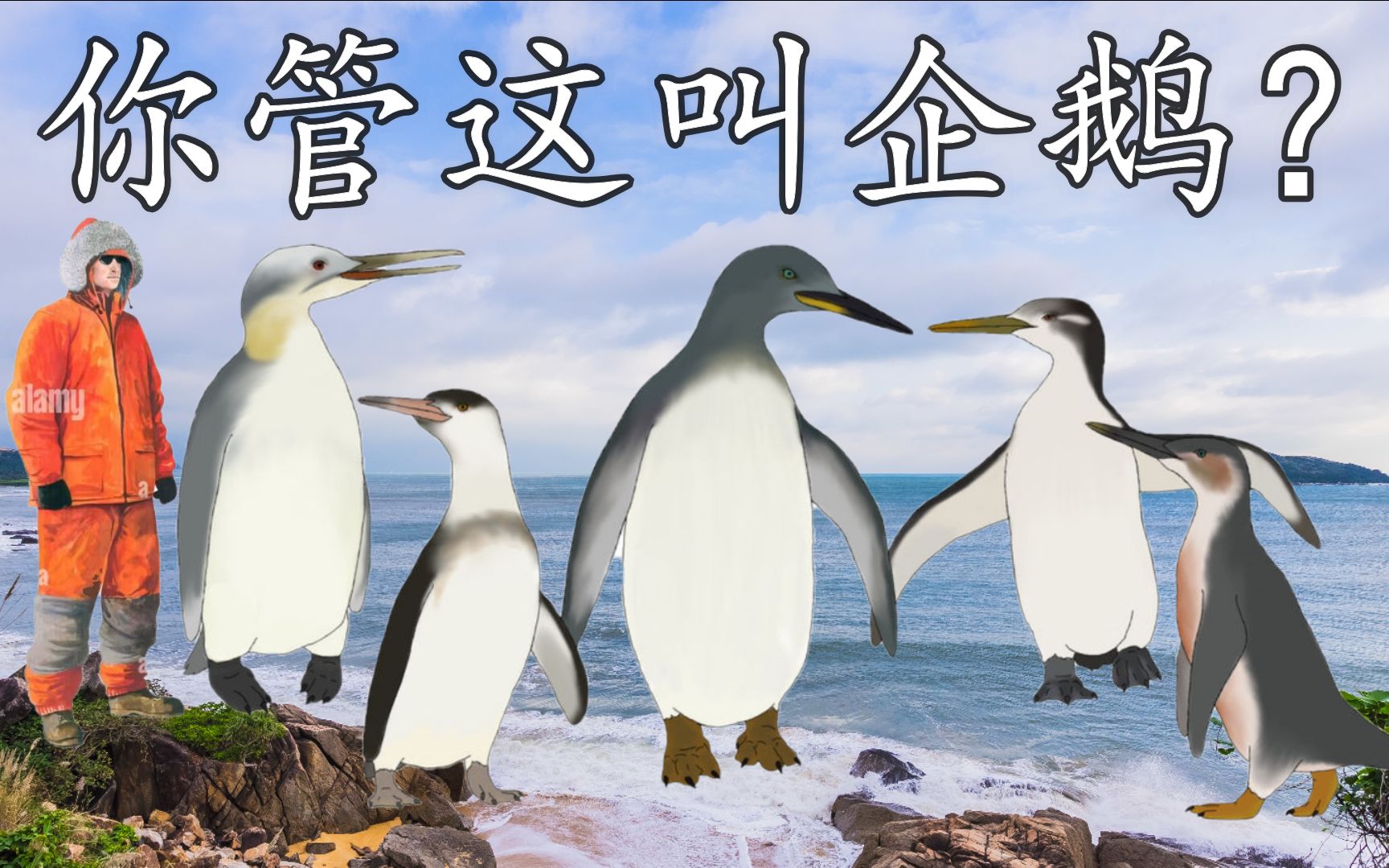 【企鹅演化史】史上居然有两米高的企鹅！