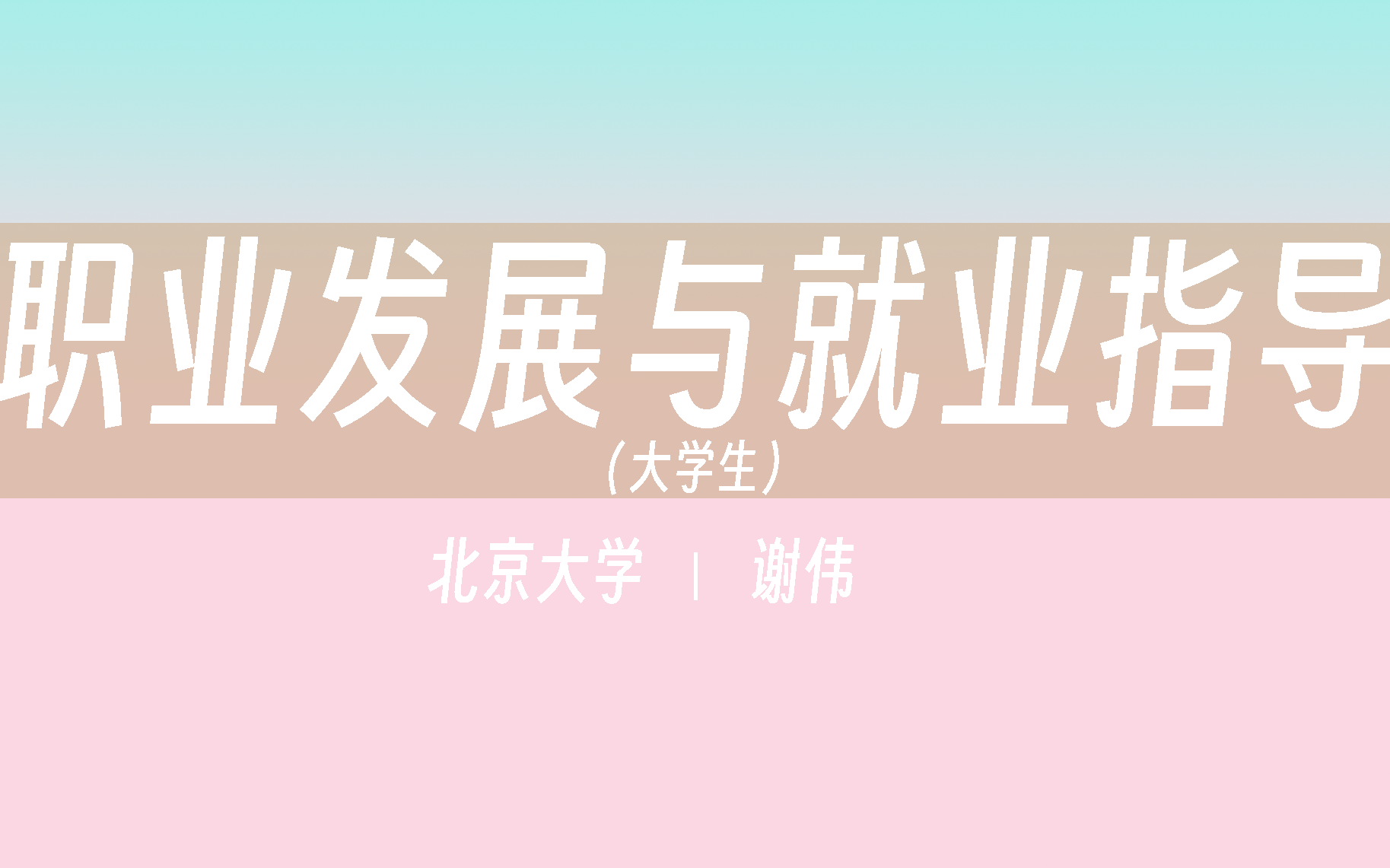 【北京大学】大学生职业发展与就业指导（全108讲）谢伟