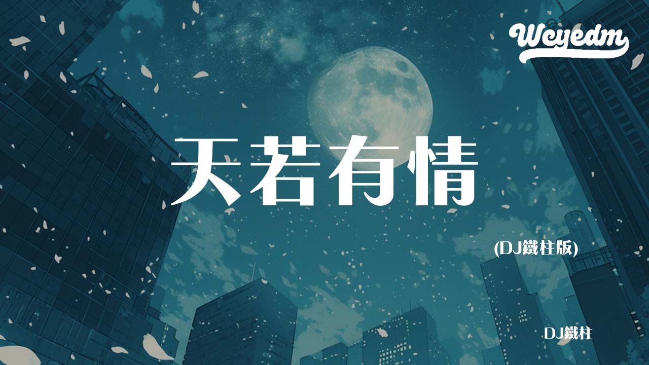DJ铁柱 - 天若有情（DJ铁柱版）「天若有情亦无情 爱到最后要分离」【動態歌詞/pīn yīn gē cí】#DJ铁柱 #天若有情 #動態歌詞