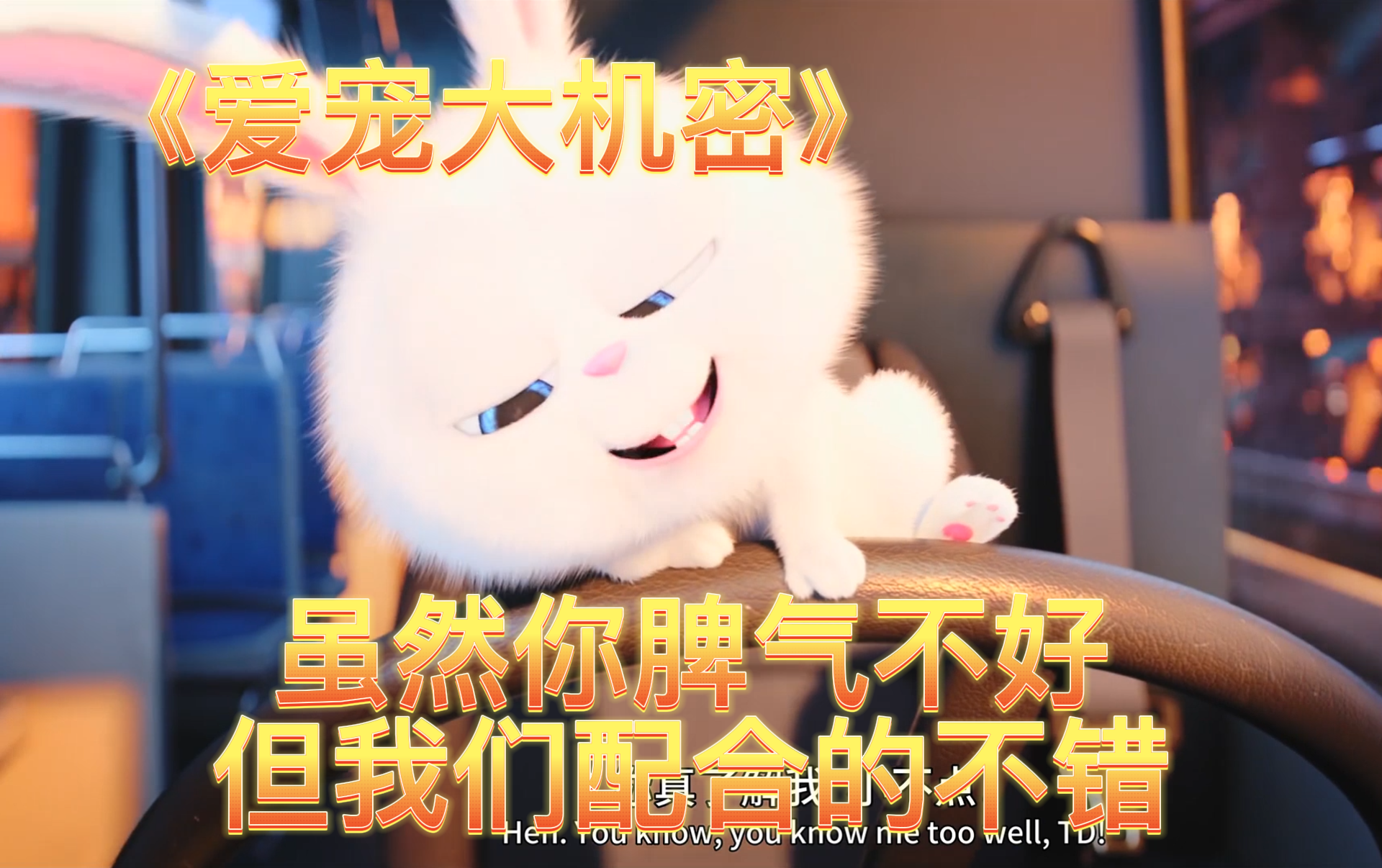 【爱宠大机密】虽然你脾气不好，但我们配合的不错