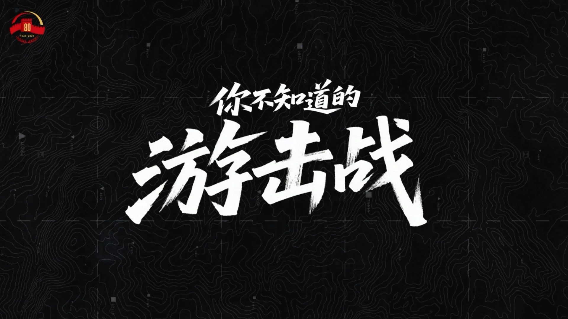 真相π丨《你不知道的游击战》