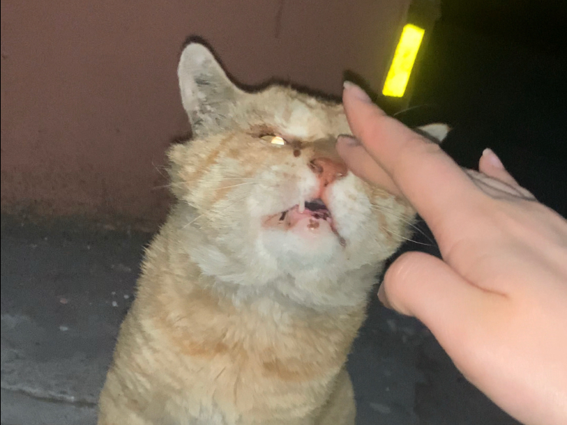 他的故事