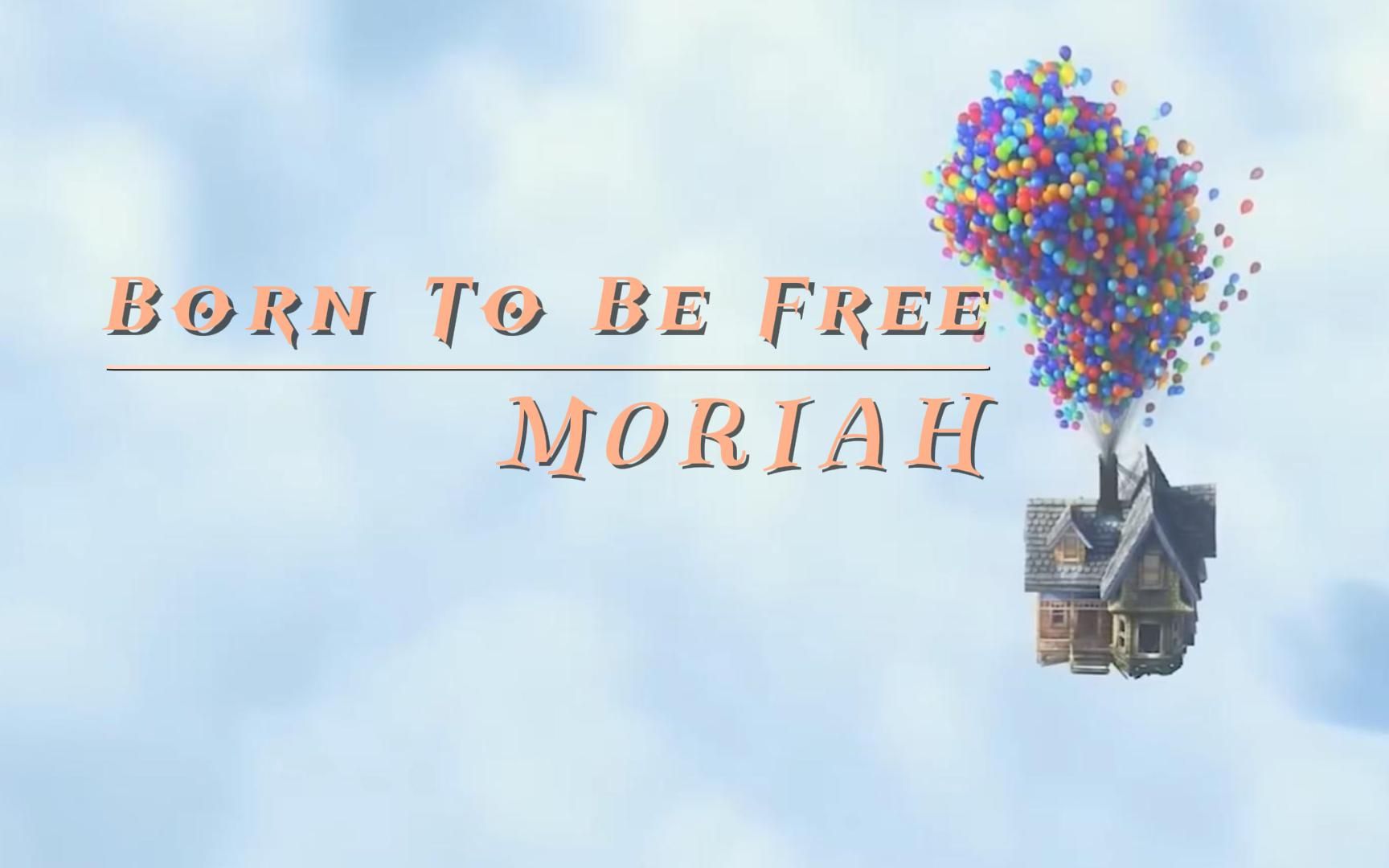“生而自由，爱而无畏”《Born To Be Free》