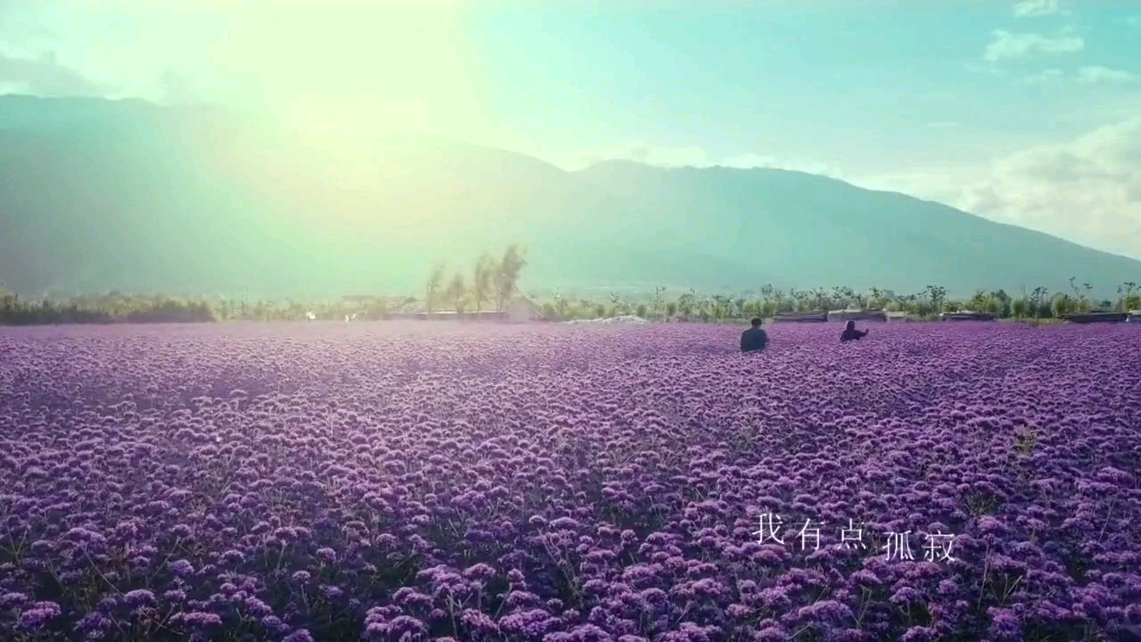 曾咏欣-你在哪里（一场遇见爱情的旅行）