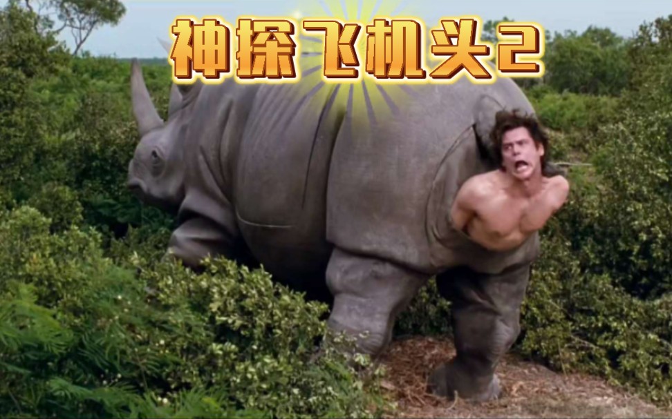 《神探飞机头2》.1995.BD1080p.中英双字.金凯瑞为数不多的续集.精彩片段