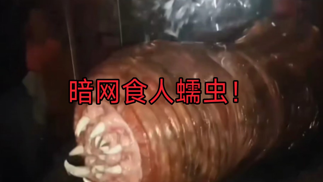 暗网食人蠕虫画面曝光！