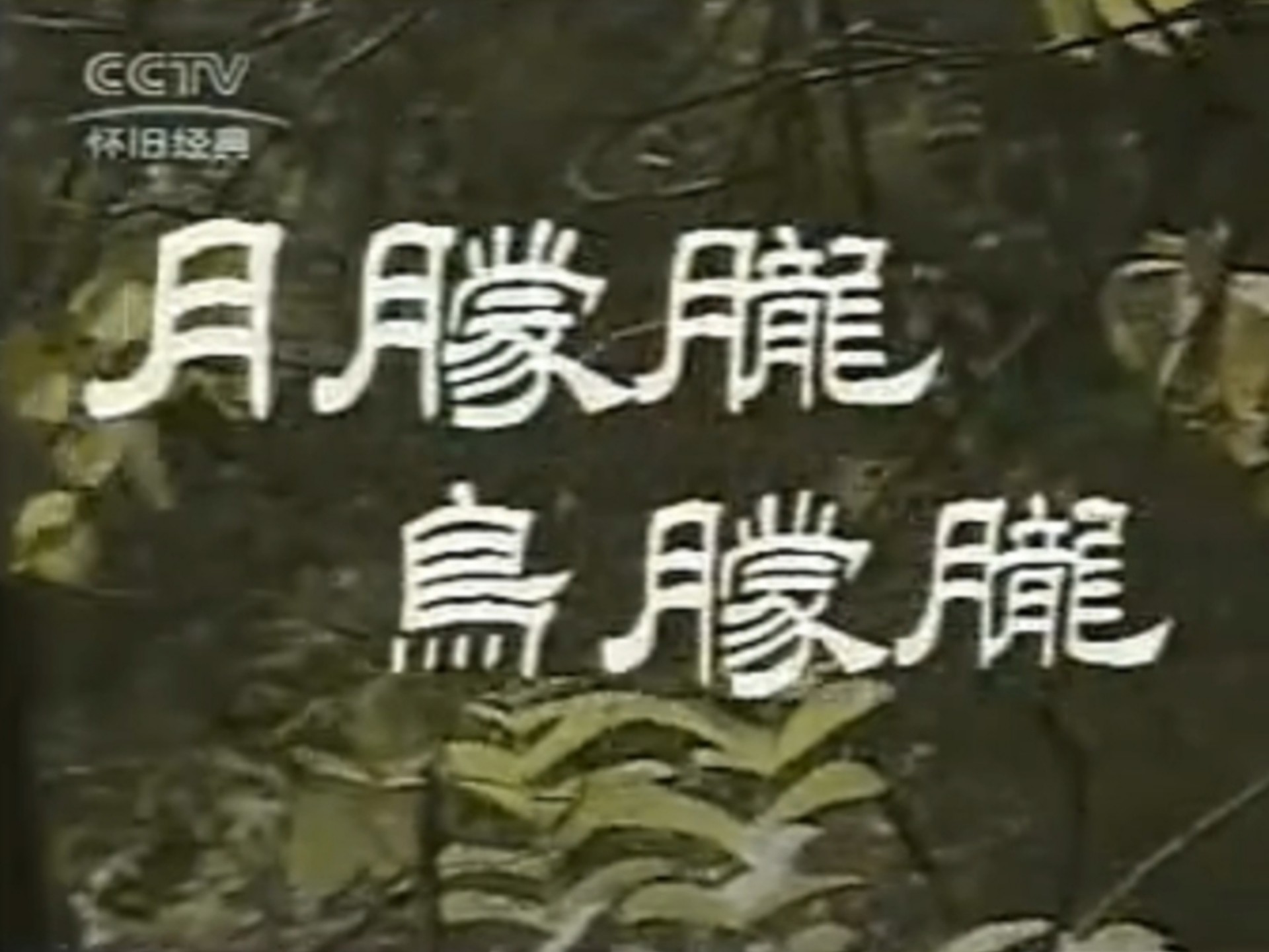 月朦胧鸟朦胧  一  大陆琼瑶剧  1986年