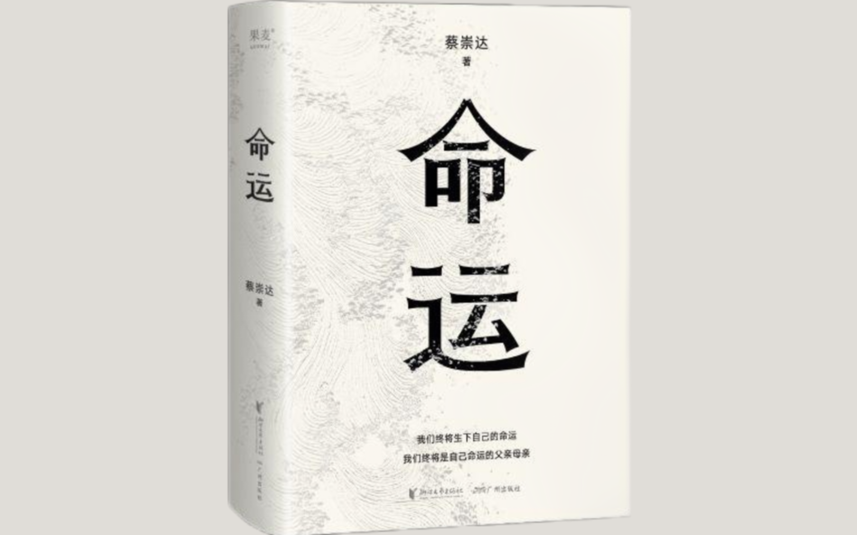 【字幕版有声书】《命运》蔡崇达（补）
