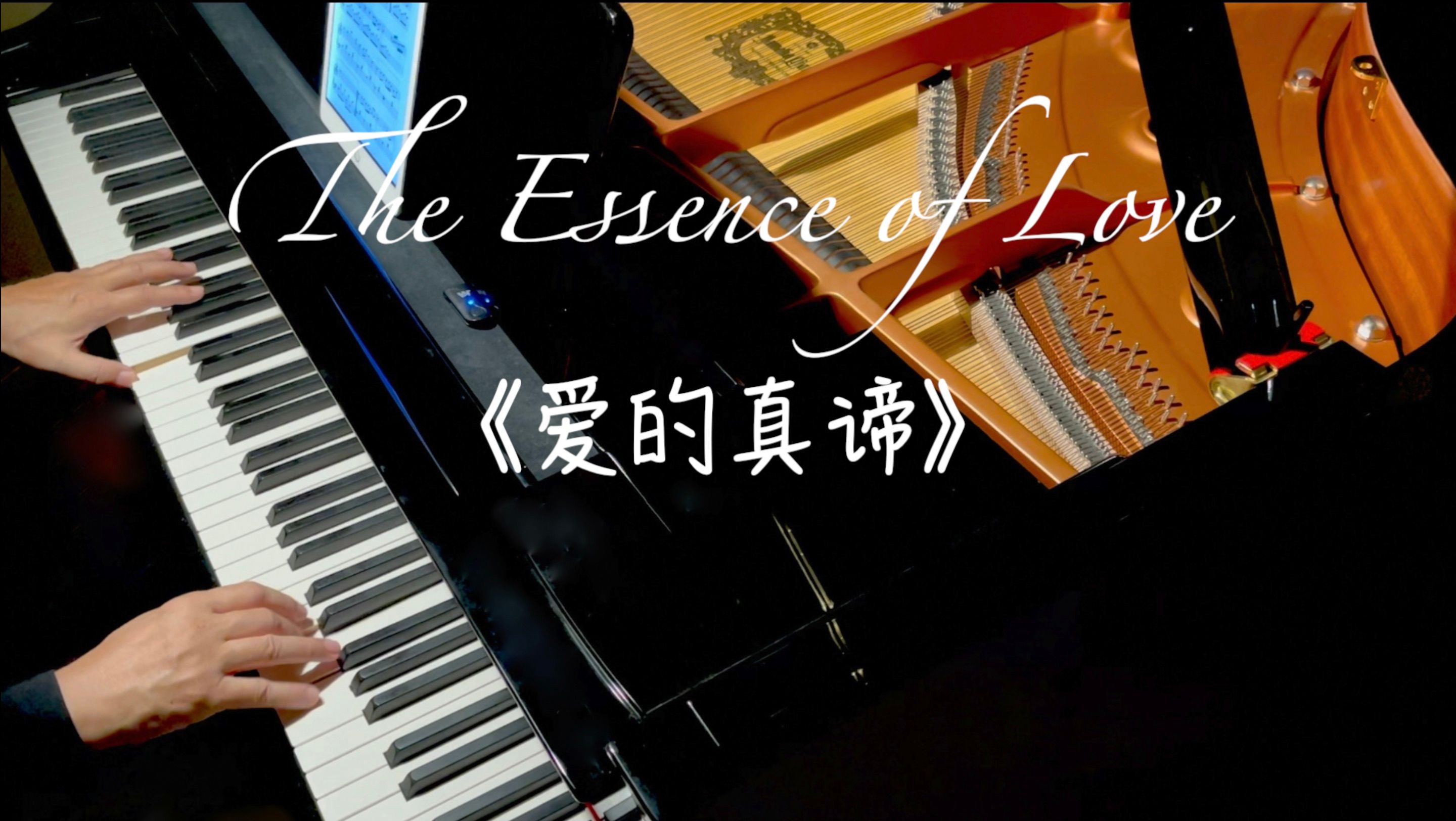爱的真谛