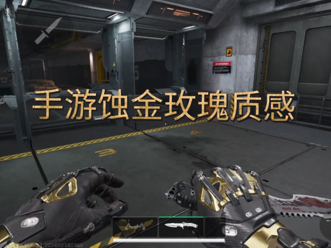 到底是蚀金玫瑰还是10斤玫瑰？