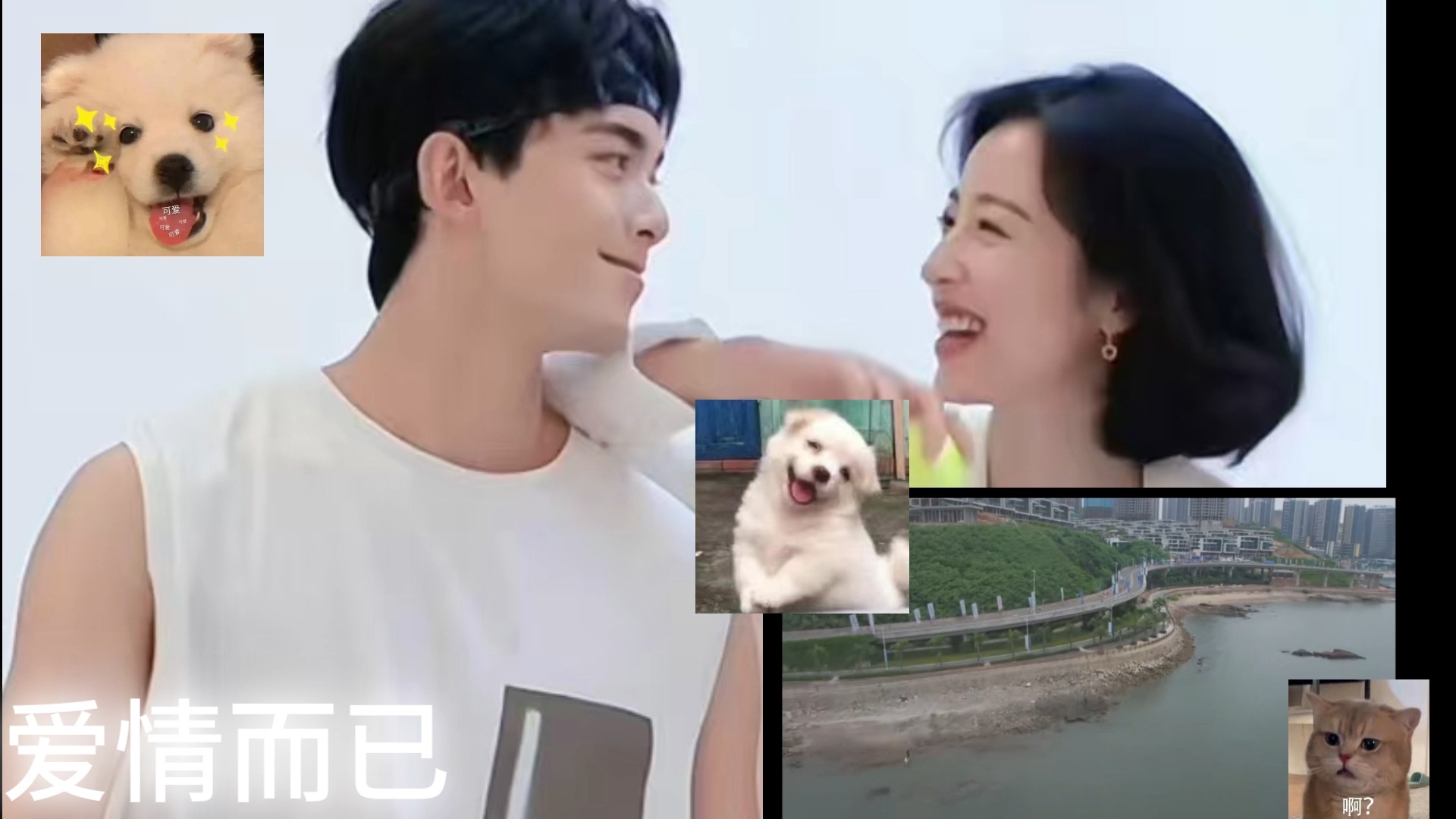 【充电点播 爱情而已第一集reaction】00后女大看爱情而已 好喜欢男女主的人设和性格！！！