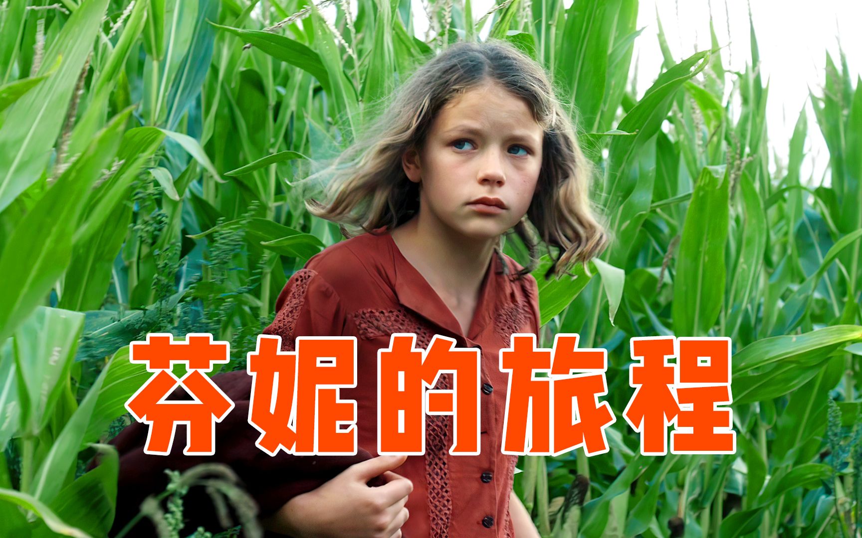 这是我哭着看完的电影，他会告诉你什么是纯粹的生命力。