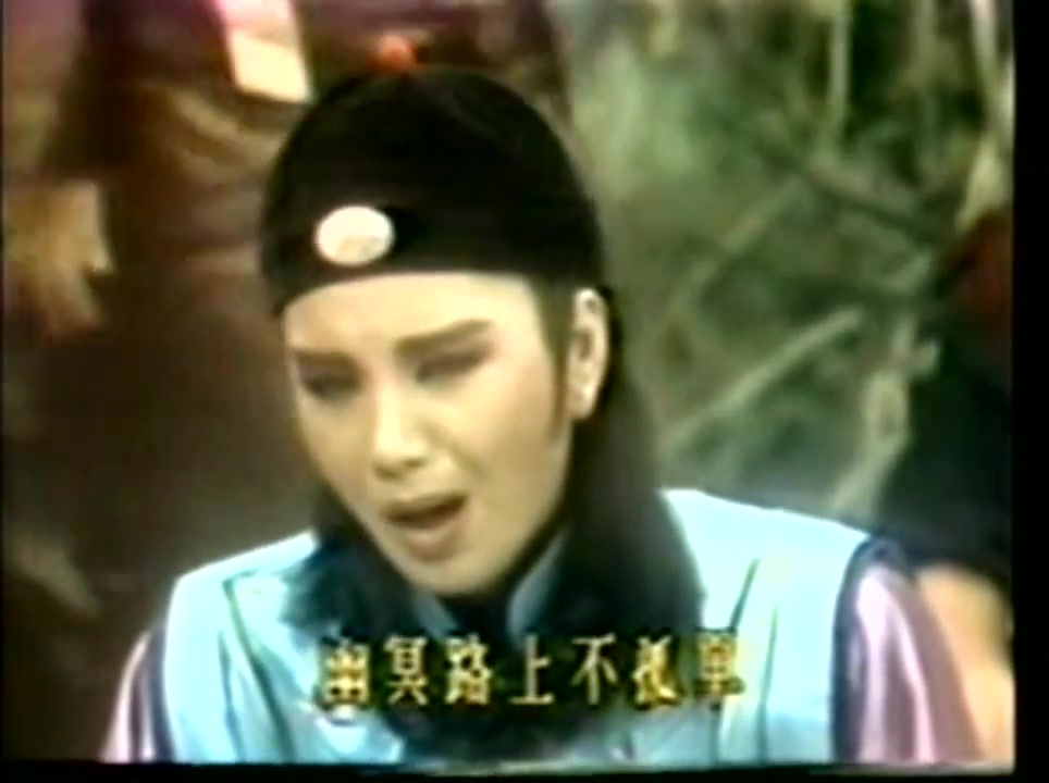 嘉慶君遊台灣