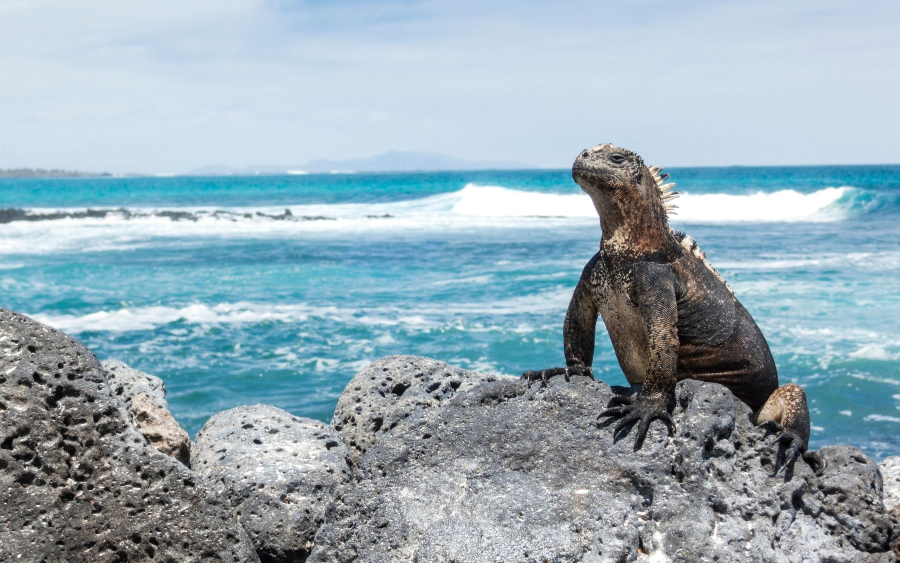 加拉帕戈斯群岛 Galápagos