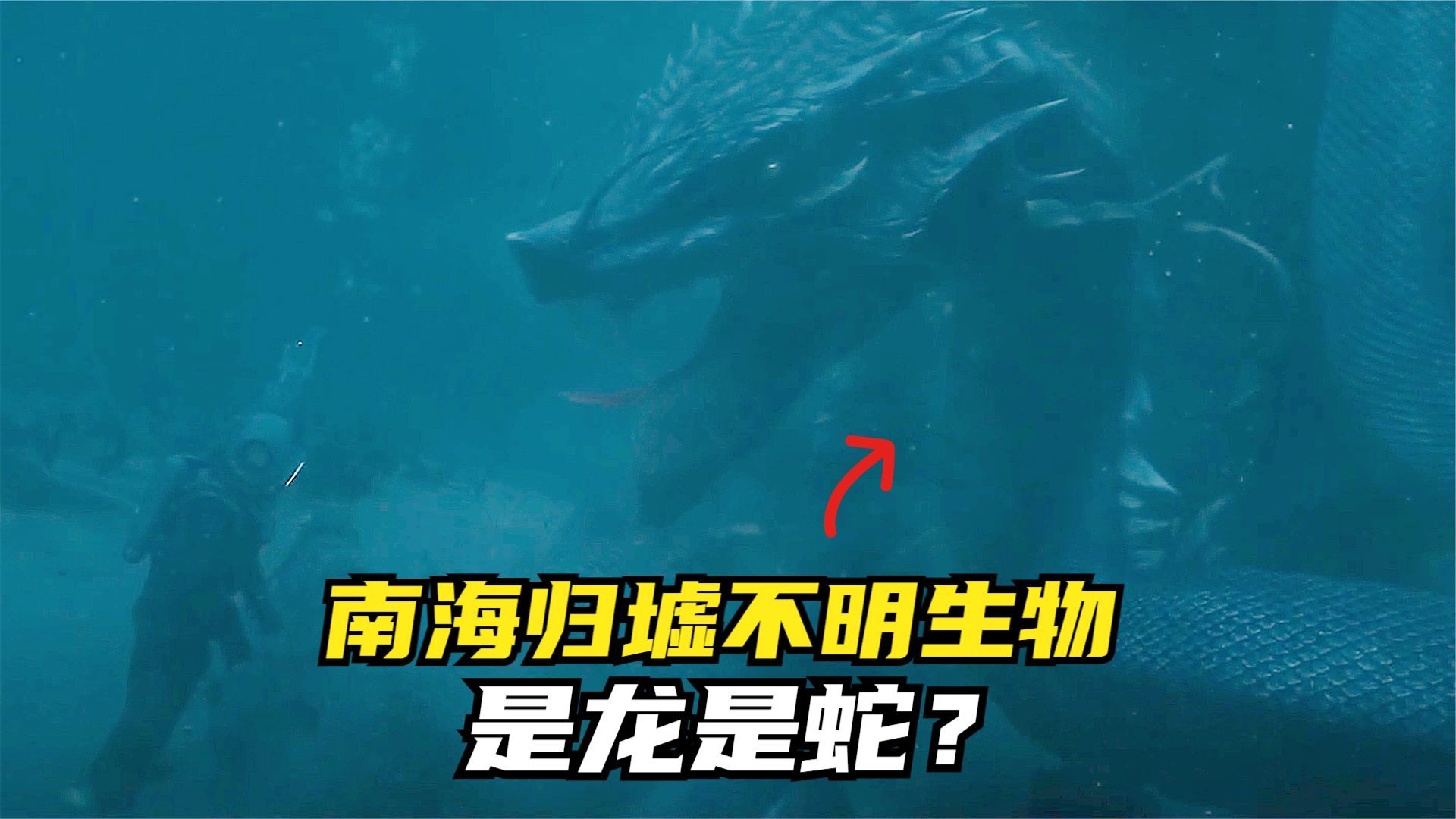 南海归墟中的不明生物，是龙是蛇？