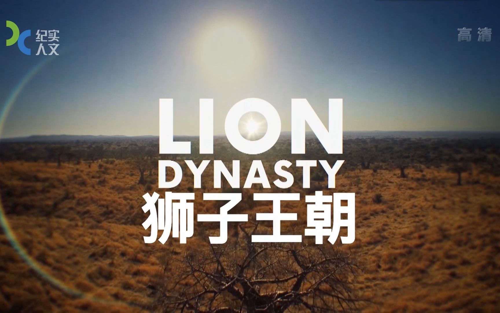 （1080P+）《狮子王朝》【全1集】