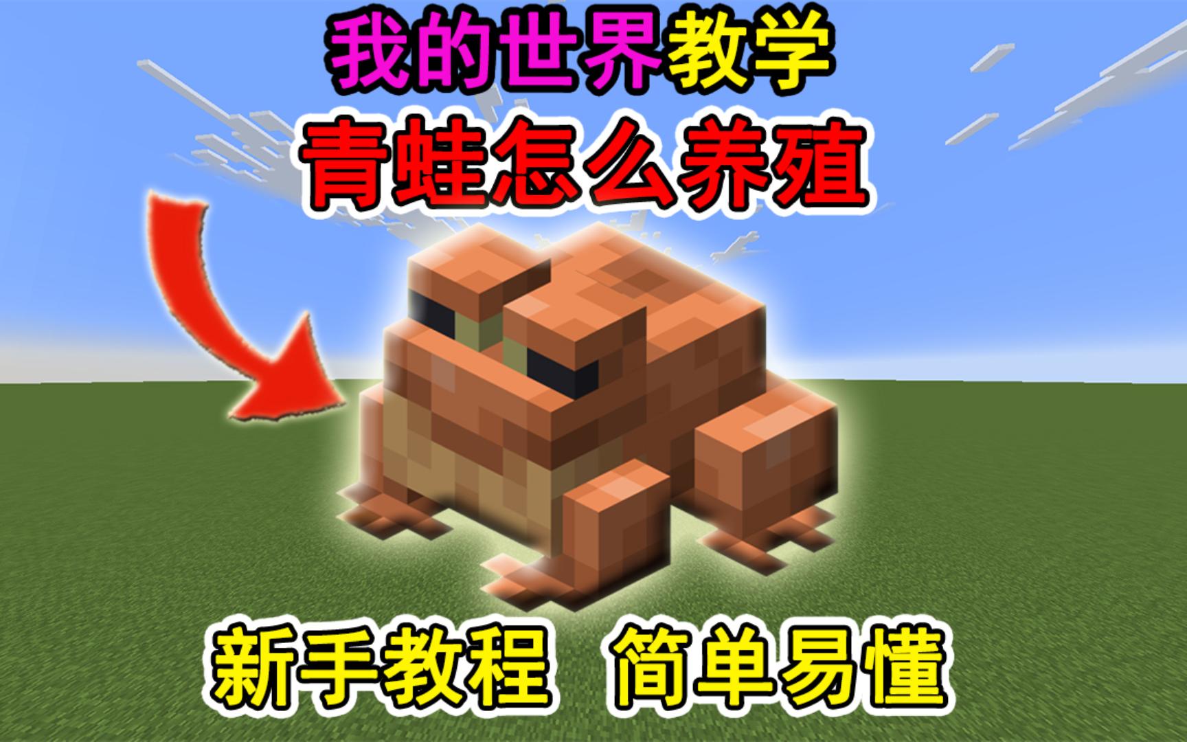 我的世界青蛙怎么养殖？一个视频教会你！冷知识