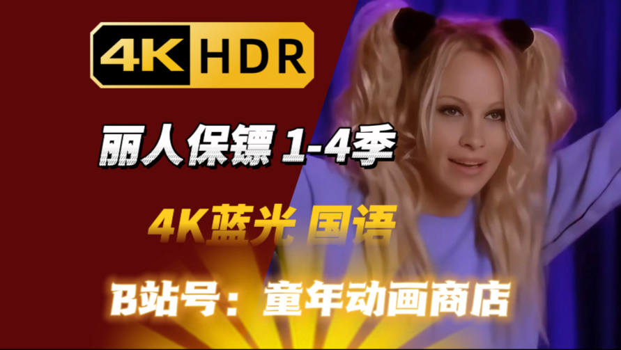 【4K蓝光】丽人保镖 1-4季 英语中字4K超清版 经典美剧 英文美剧 怀旧美剧
