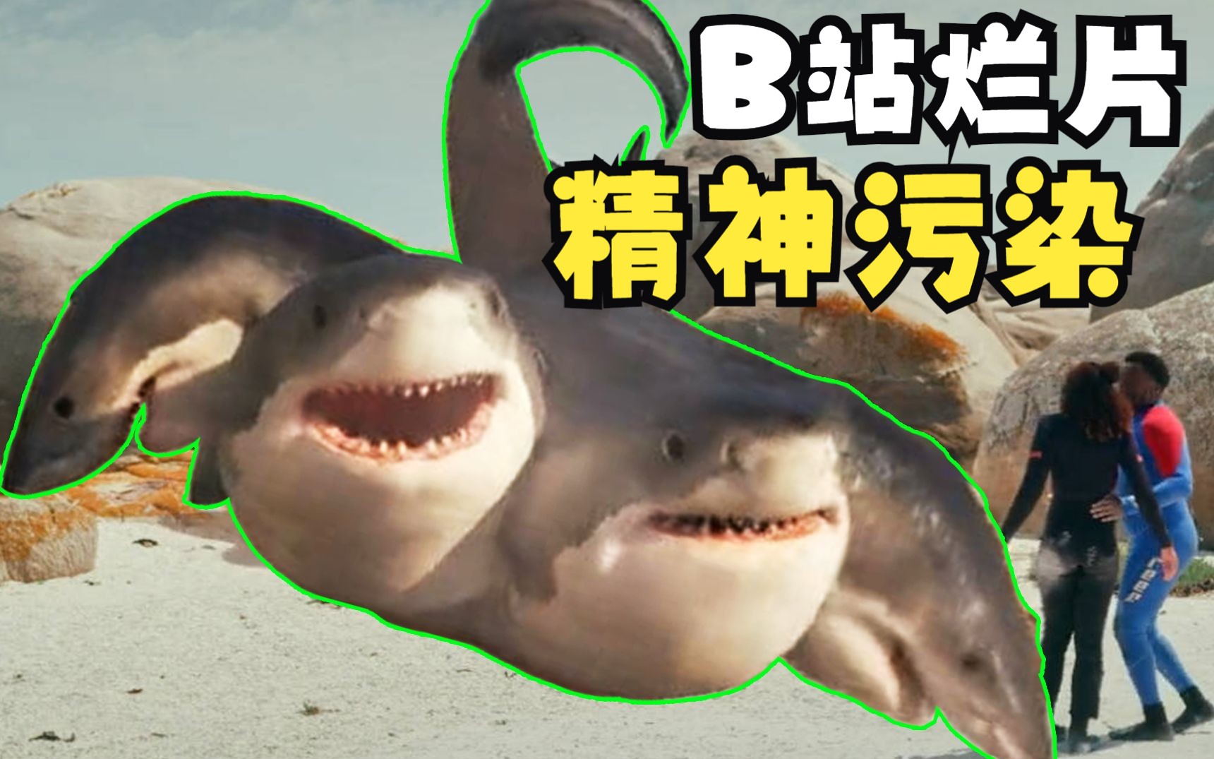 原来这部烂片是纪录片[避难所]