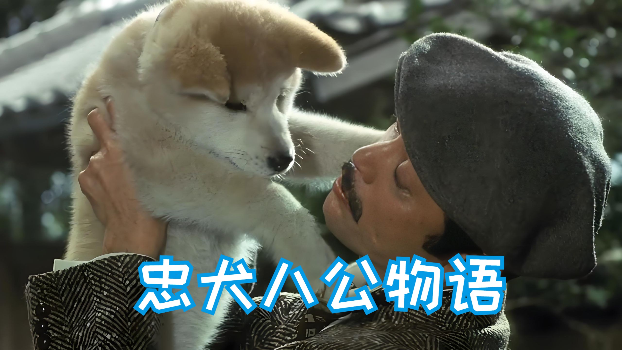 【9.2分/超清中字】忠犬八公物语 (1987)