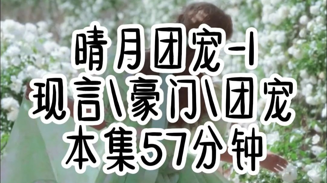 晴月团宠-1 本集57分钟一口气看完