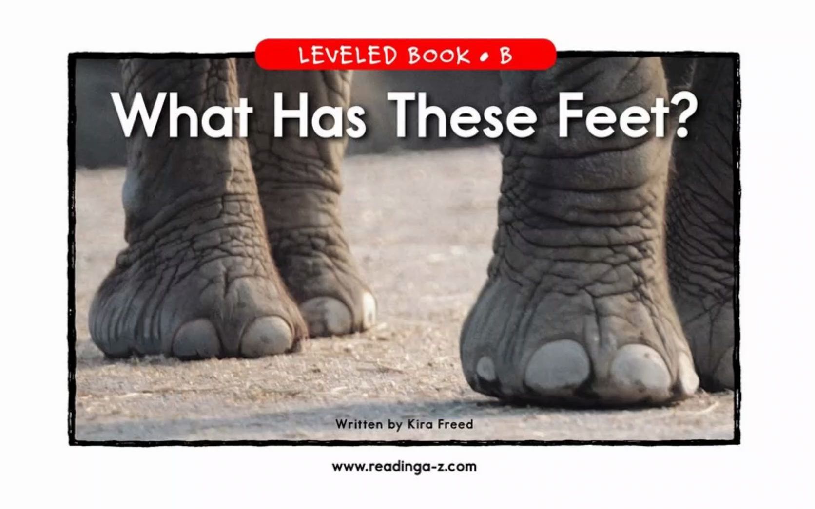 「不用词汇书背单词」Episode 283：What Has These Feet